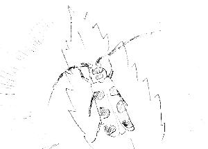 60.JPG