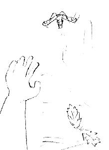 61.JPG