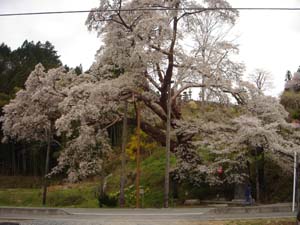 060429-3.jpg