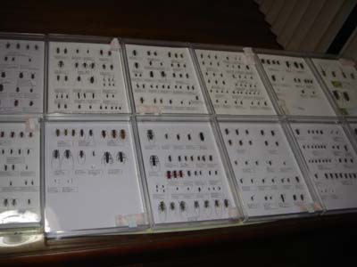 148.jpg