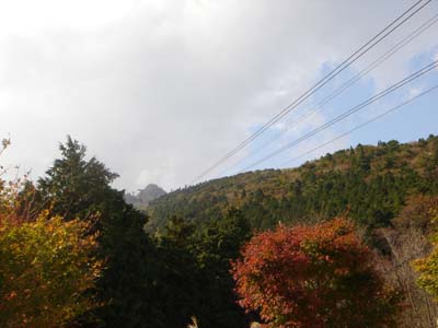 174.jpg