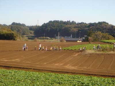 184.jpg
