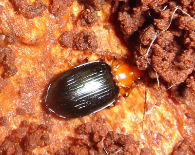 192.jpg
