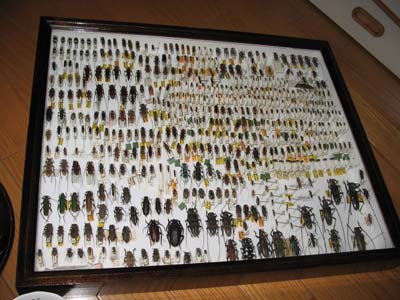 203.jpg