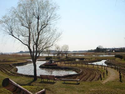 63.jpg