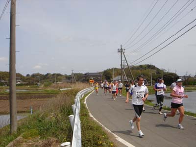 102.jpg