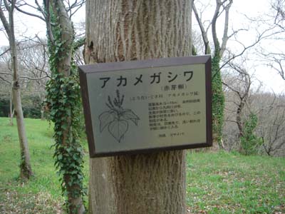 73.jpg