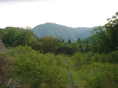 63.jpg