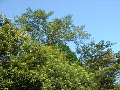 57.jpg