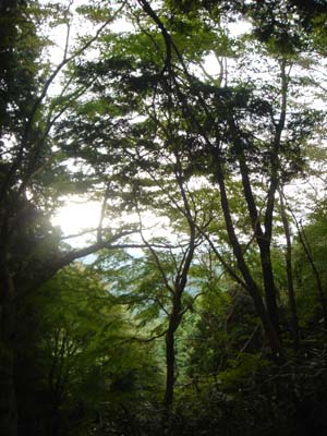 109.jpg
