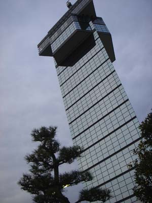 47.jpg