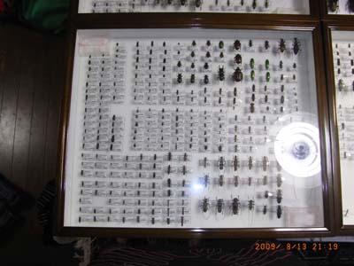 131.jpg